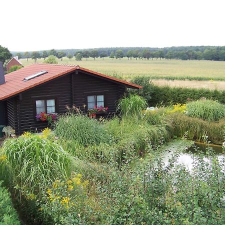Ferienhaus Hohenlubast Grafenhainichen Zewnętrze zdjęcie